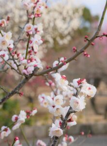 fp無料相談で知っておきたいおすすめのポイントは？