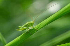 生命保険の見直しに最適な店舗予約の方法は？
