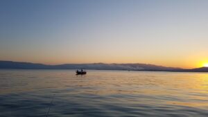 保険の見直しに役立つ比較表はどこにある？