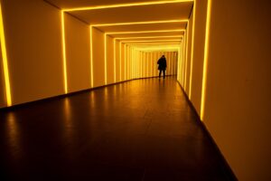 忙しい人のための保険相談の効率的な進め方は？