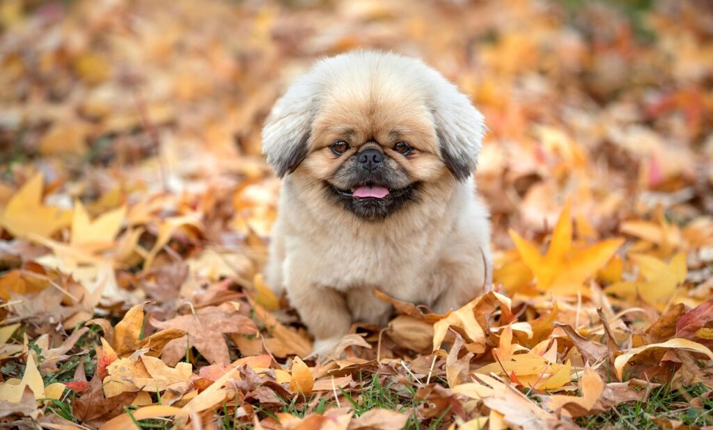 ネット予約が簡単にできるサービスはどれですか？