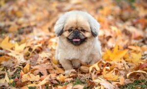 ネット予約が簡単にできるサービスはどれですか？