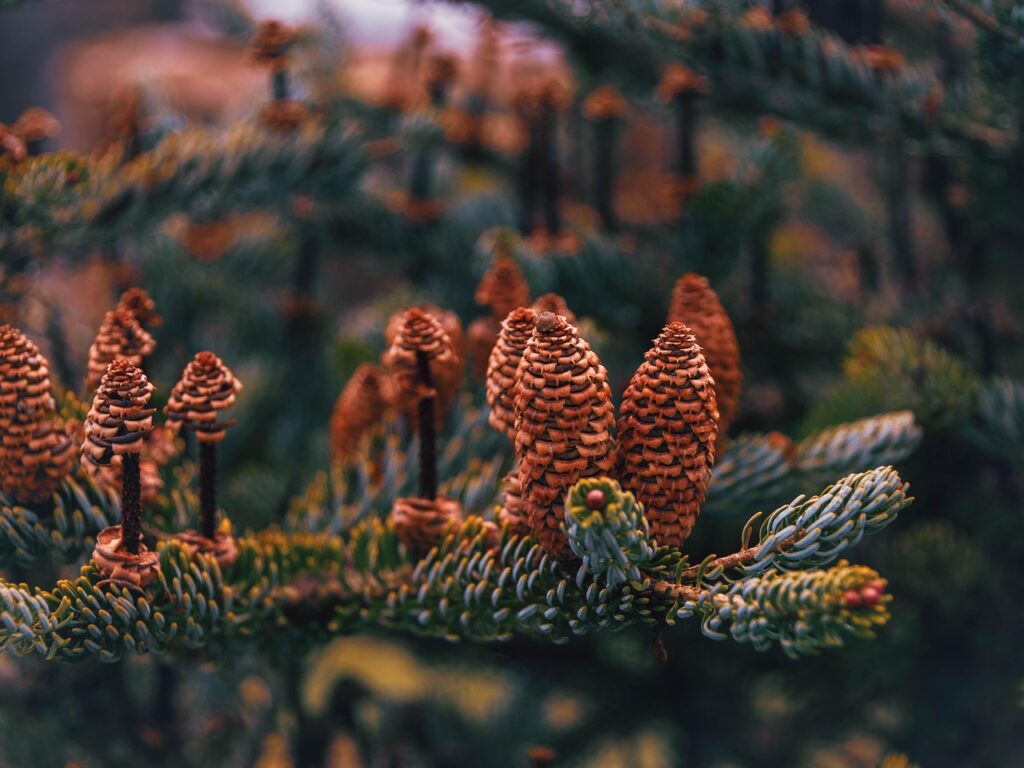 無料相談のデメリットとは何か？