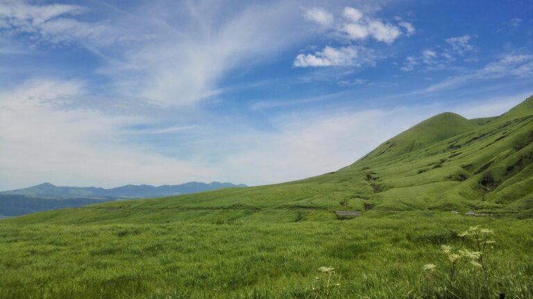 保険ショップ福岡の口コミは本当に信頼できる？